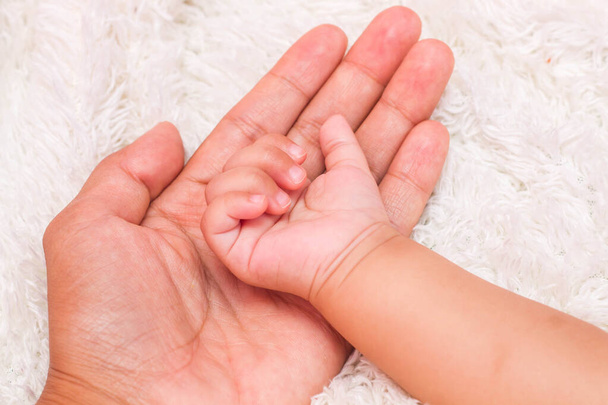 Μικρό λεπτό μικρό χέρι του νεογέννητου - κοντά πορτρέτο - Φωτογραφία, εικόνα
