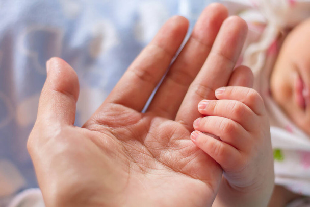 Маленька ніжна рука новонародженого - близький портрет
 - Фото, зображення