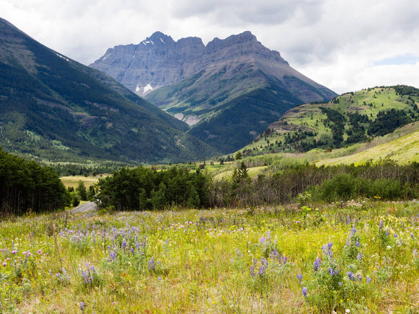 Alpine scenery in Waterton Lakes national park, Canada - Photo, Image