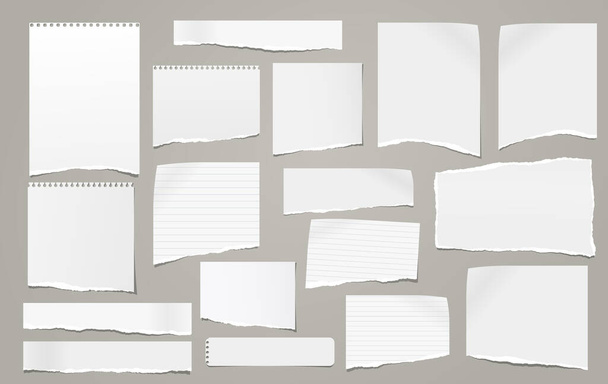 Zerrissene weiße Notizen, Notizbuchstreifen, Stücke, die auf grauem Hintergrund kleben. Vektorillustration - Vektor, Bild