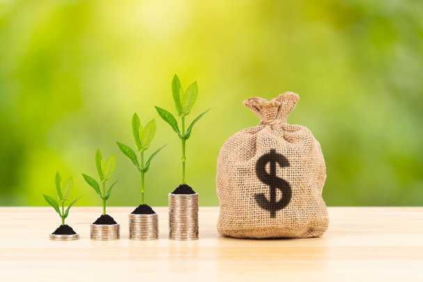 Money sack and leaves with growing coin stack on green tree background, saving concept - Photo, Image