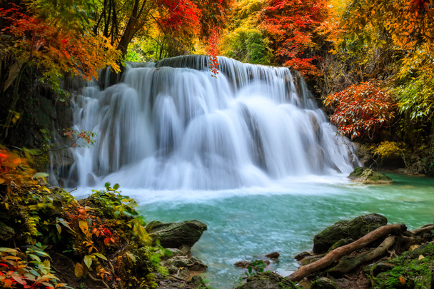 Kolorowy majestatyczny wodospad w lesie narodowym jesienią - Obraz - Zdjęcie, obraz