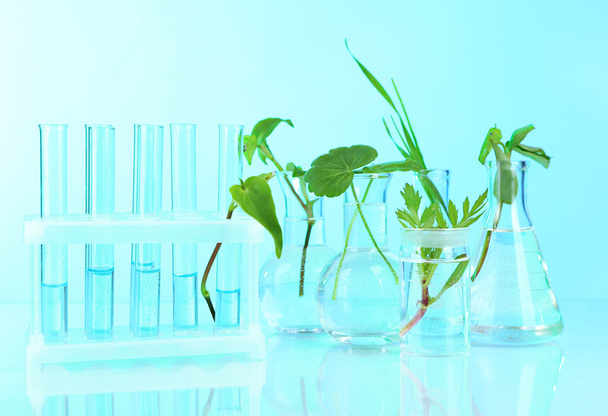 Plants in test tubes, on color background - Φωτογραφία, εικόνα