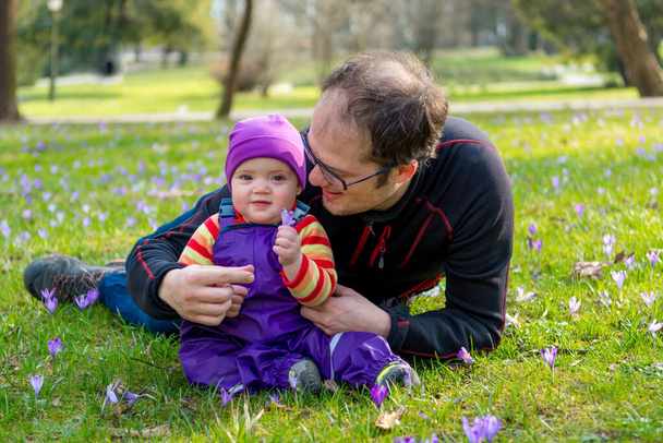 Vater und kleine Tochter posieren auf Frühlingswiese voller Safranblüten. - Foto, Bild