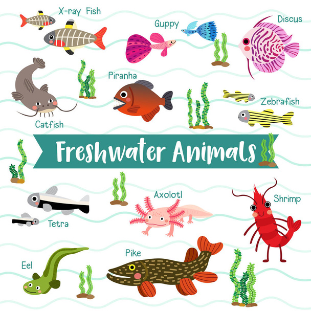 Süßwasser Tiere Karikatur auf weißem Hintergrund mit Tiernamen, Vektorillustration. - Vektor, Bild