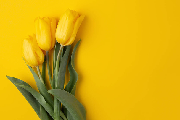 Colorful photo of fresh spring flower tulips over yellow background. Happy Easter and Mothers Day card. - Фото, изображение