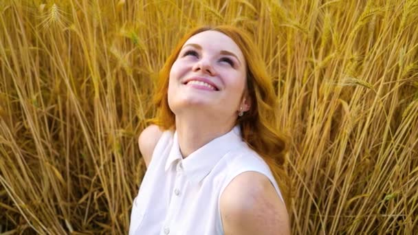 Pozitivní zrzka dívka sedí v pšeničném poli a vzhlíží v létě - Záběry, video
