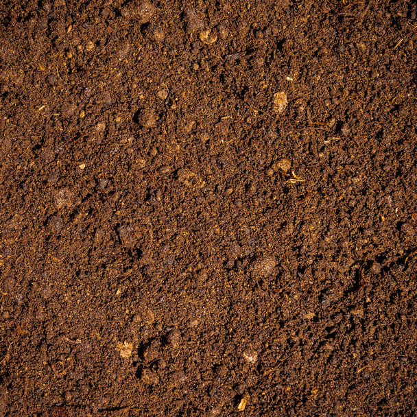 Sötétbarna termőföld tőzeggel - háttér a mezőgazdaságnak - Fotó, kép