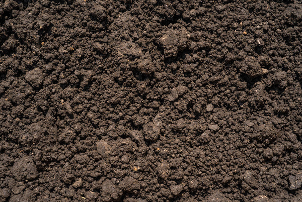 Koyu kahverengi ezilmiş ova turbası, gübre ve toprak bileşeni - tarım için arka plan - Fotoğraf, Görsel
