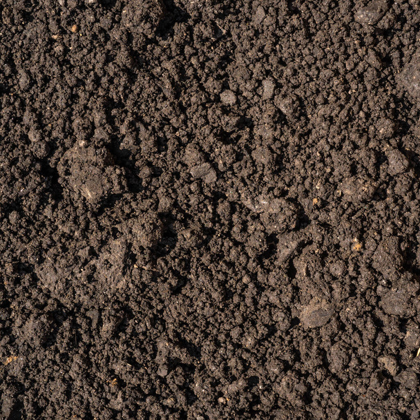 Σκούρο καφέ θρυμματισμένο έδαφος τύρφη, λίπασμα και συστατικό του εδάφους - υπόβαθρο για τη γεωργία - Φωτογραφία, εικόνα