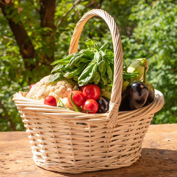 Basket with ripe vegetables on a rustic wooden table on a background of trees in the yard on a sunny day, close-up - Fotografie, Obrázek