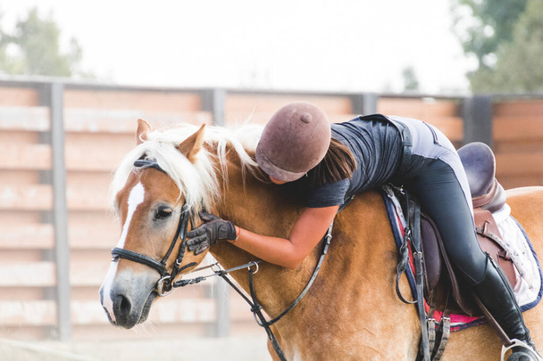 Woman jockey gently caressing a horse on its head - Photo, Image