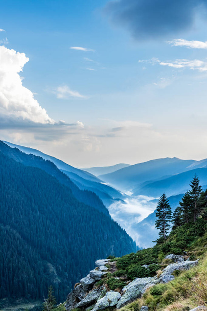 Horská skála a stromy v popředí s mlhavým lesem pokryté hory v pozadí a nadýchané mraky proti modré obloze - Fotografie, Obrázek