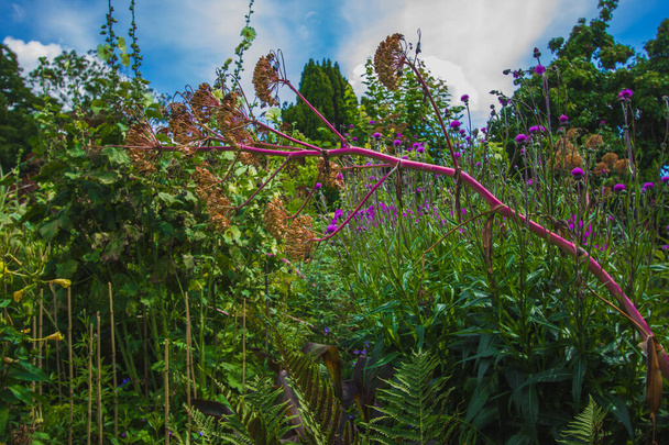 Great Dixter is a house and gardens in Northiam, East Sussex - Photo, Image