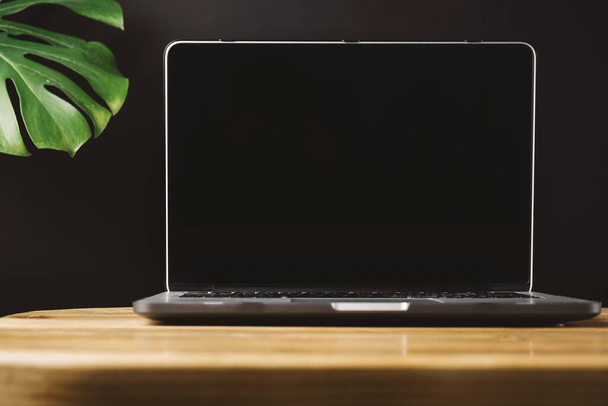 Blank screen laptop on wooden table with exotic tropical leaf monstera on grey background in minimal style. Front view social media, website, blog hero header template. - 写真・画像