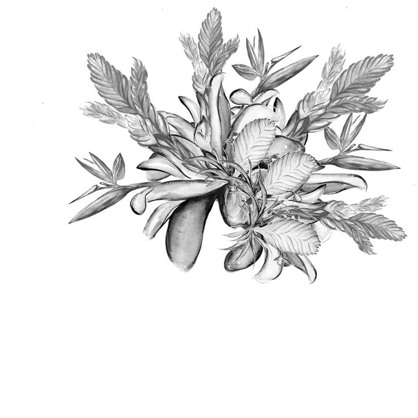 Belle fleur tropicale botanique illustration d'art
 - Photo, image