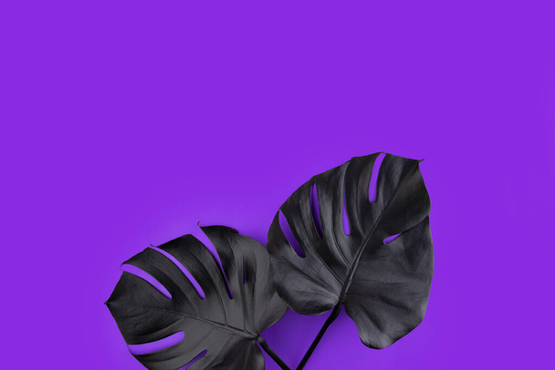 Black spray painted tropical monstera leaves artisticly arranged on ultra violet, proton purple colorful bright background. Summer club nightlife flat lay creative concept. Room for text. - Photo, Image
