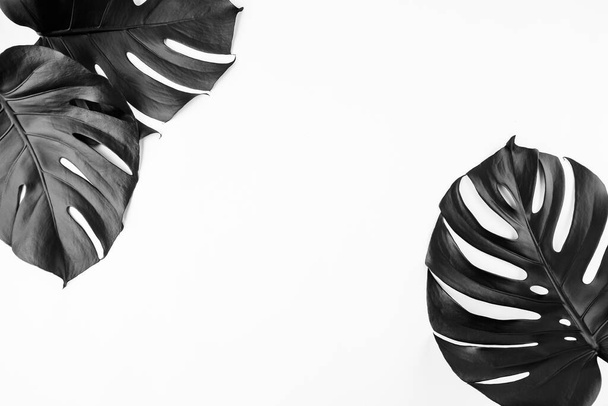 Diseño floral creativo de hojas de monstera tropical pintadas en aerosol en negro sobre fondo blanco liso. Espacio vacío, espacio para texto, copia. Estilo minimalista concepto de moda de moda
. - Foto, Imagen