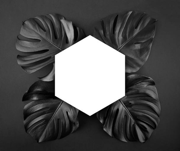 Black shiny monstera leaves creative layout border frame dark paper background flatlay. Room for text, copy, lettering. Fine poster empty space template. Unusual artistic luxurious cosmetics concept. - 写真・画像