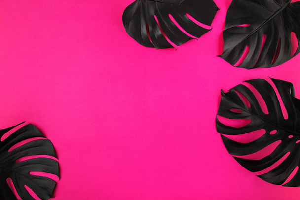 Cztery czarne monstera liści ramki na plastikowe różowe tło. Pustej przestrzeni, miejsca na tekst, kopia, napis. Koncepcji artystycznej botaniczny modny. - Zdjęcie, obraz
