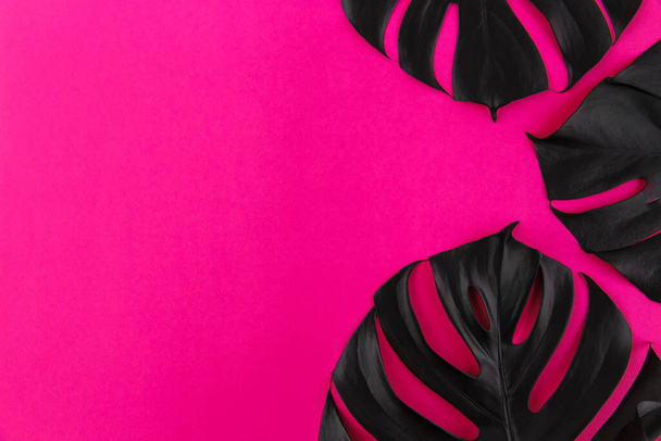 Widok z bliska trzech czarnych malowanych liści tropikalnych monstera rozmieszczone na plastikowym różowym tle koloru. Artystyczny kwiatowy obramowanie granica. Modne piękno, koncepcja seksualności mody. - Zdjęcie, obraz