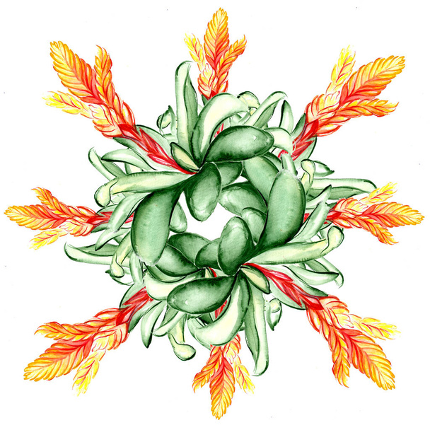 Beautiful tropical flower botany art illustration - Photo, Image