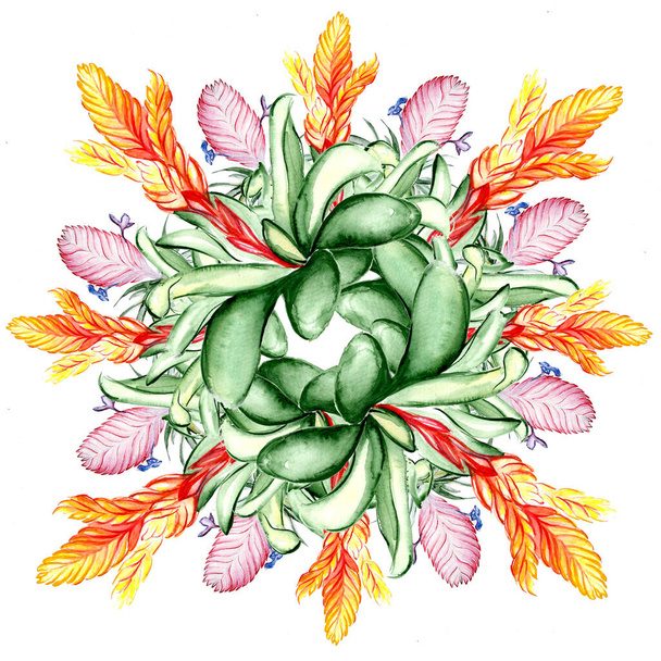 Hermosa flor tropical botánica ilustración de arte
 - Foto, imagen