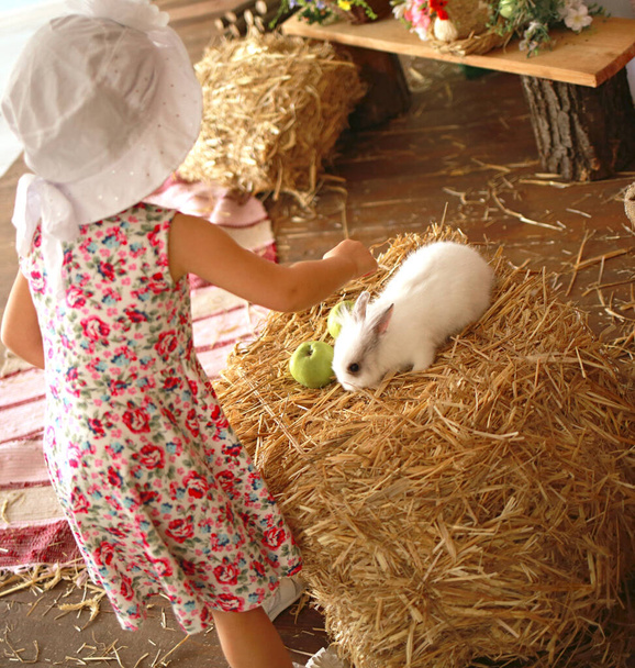 little girl plays with little white rabbit, easter holiday - Fotografie, Obrázek