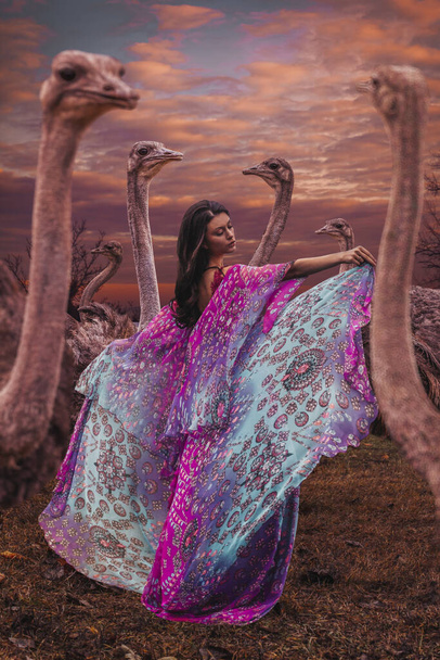 Mooie vrouw met kudde struisvogels - Foto, afbeelding