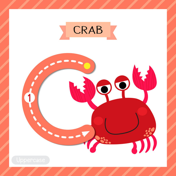 Letter C uppercase cute children colorful zoo and animals ABC alphabet tracing flashcard of red Crab for kids learning English vocabulary and handwriting vector illustration. - Vector, Image