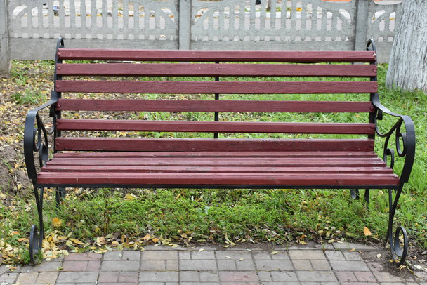 wooden bench in the park - Photo, Image