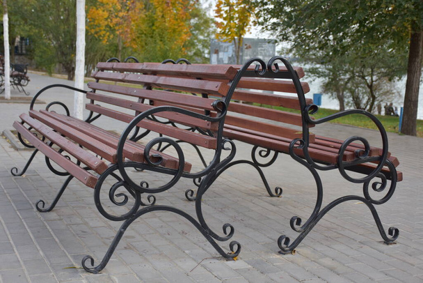 dřevěná lavička v parku - Fotografie, Obrázek
