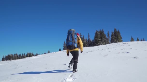 Sırt çantalı turist kar manzarasında yürüyor. - Video, Çekim