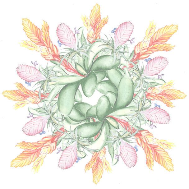 Όμορφη τροπική λουλούδι βοτανική τέχνη εικονογράφηση - Φωτογραφία, εικόνα