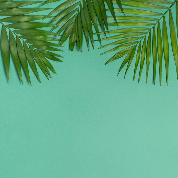 Tropical palm leaves on blue emerald background. Flat lay, top view, copy space. Summer background, nature. Creative minimal background with tropical leaves. Leaf pattern. - Fotografie, Obrázek