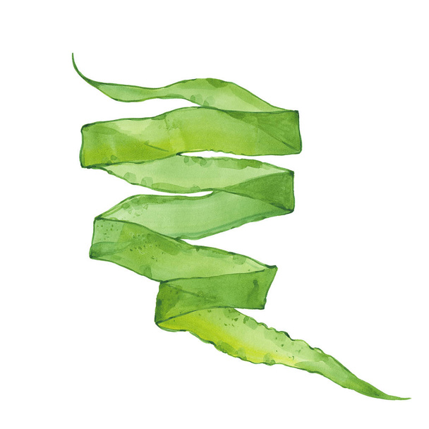 watercolor green seaweed - Fotó, kép