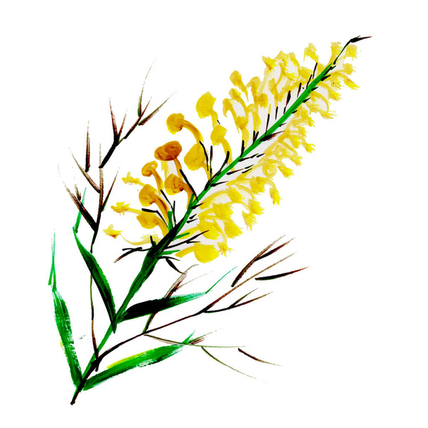 Watercolor Spring Floral Element - Vector, Imagen