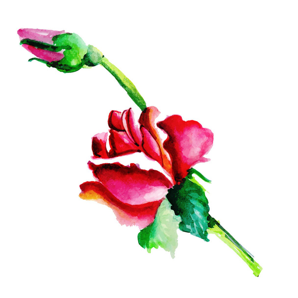 Watercolor Spring Floral Element - Vecteur, image