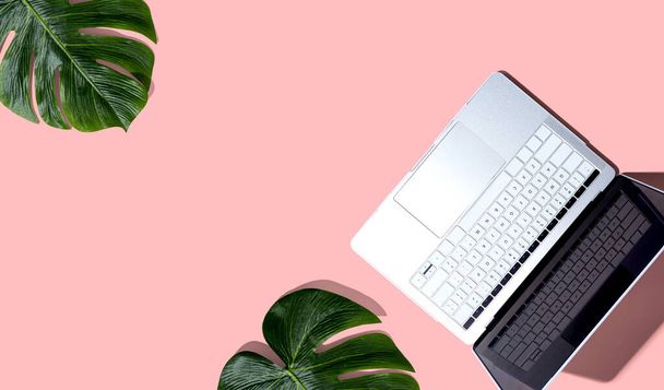 Laptop computer with tropical plants - Photo, Image