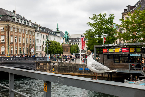 Kopenhagen, Dänemark, Skandinavien. Schöner Sommertag - Foto, Bild