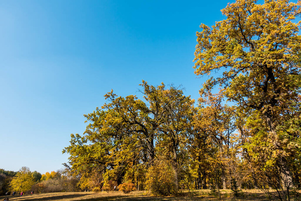 Nádherný podzim v krásném historickém parku - Fotografie, Obrázek