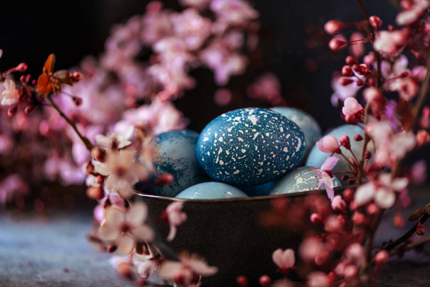 Blue Easter Eggs on black bowl, hand painted with natural dyes, surrounded by pink almond blossoms on rustic surface. - Foto, Imagen