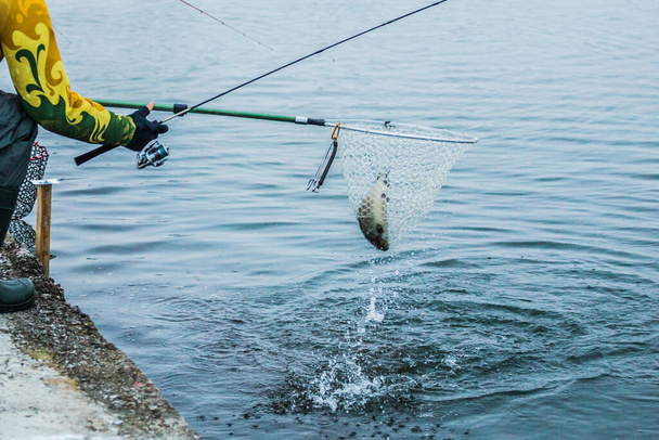 Риболовля з форелі на озері. Риболовля відпочинок
 - Фото, зображення