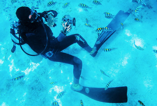 ныряльщик плавает под водой с коралловыми рифами - Фото, изображение