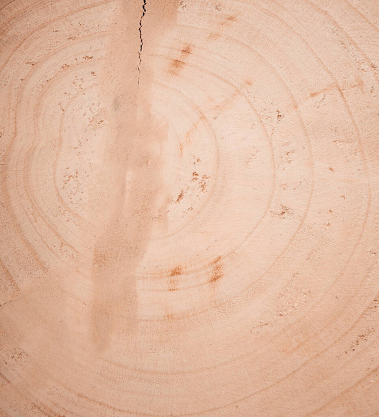 Textura del tronco. Fondo vintage. Fondo de madera
 - Foto, imagen