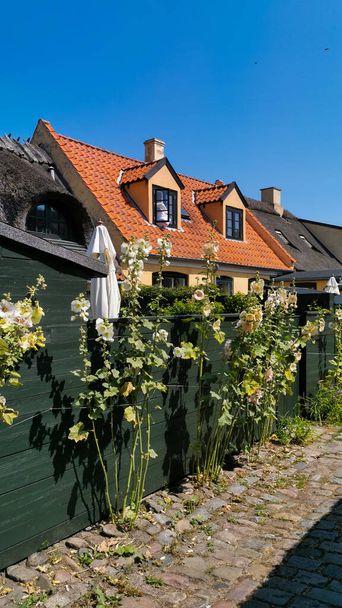 Gyönyörű tengeri falu Dániában - Fotó, kép