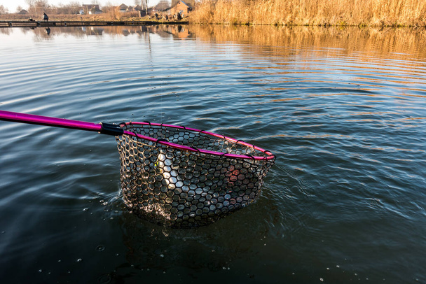 Łowienie pstrągów na jeziorze, wędkarstwo sportowe i działalność na świeżym powietrzu - Zdjęcie, obraz