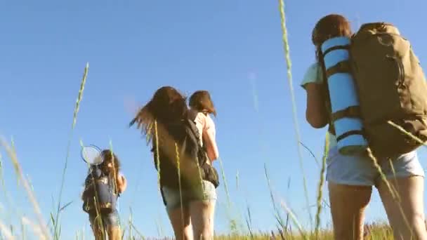 無料の女性や女の子は高山草原を旅します。チームワークの旅行者。旅行者は牧草地を通ってバックパックで行く。夏にはバックパックを背負った小さな赤ちゃんが畑を旅し. - 映像、動画