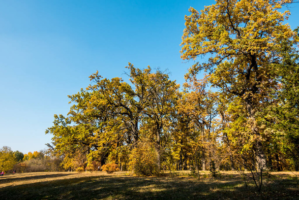 Gyönyörű ősz egy gyönyörű történelmi parkban - Fotó, kép