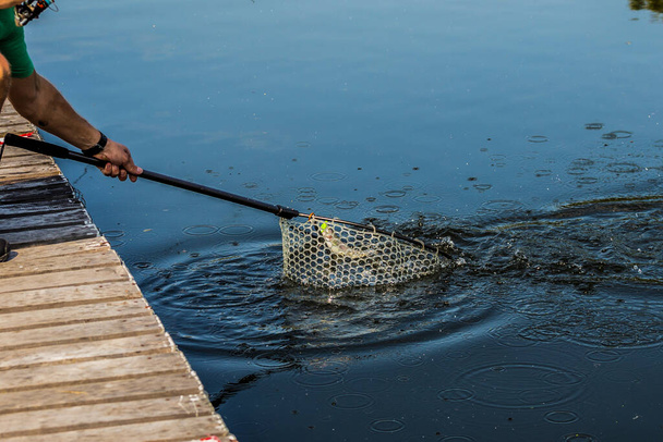 fond naturel de pêche à la truite
 - Photo, image